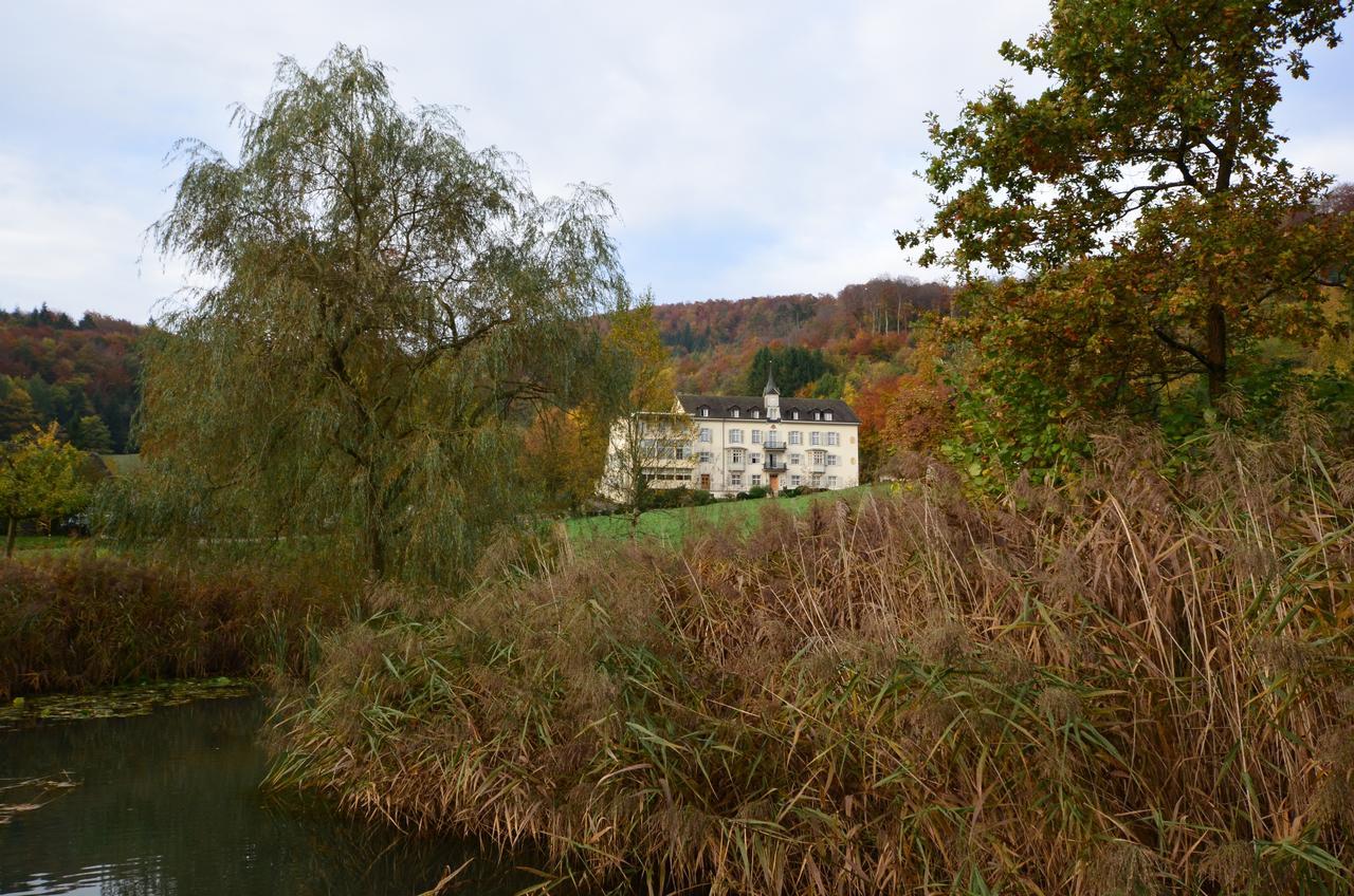 Bad Schauenburg Hotell Liestal Eksteriør bilde