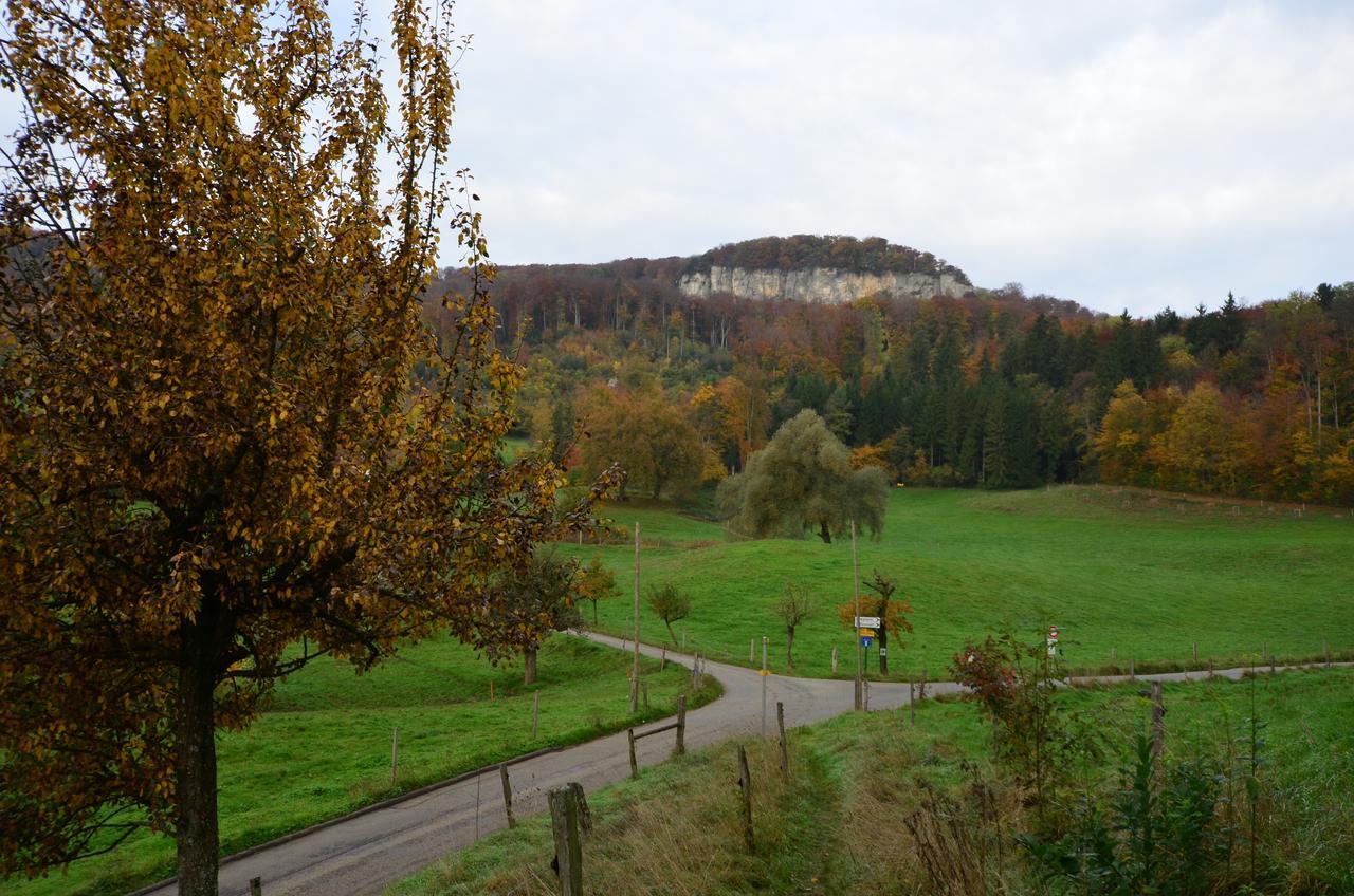 Bad Schauenburg Hotell Liestal Eksteriør bilde